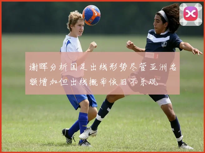谢晖分析国足出线形势尽管亚洲名额增加但出线概率依旧不乐观
