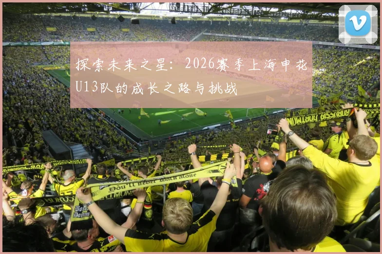 探索未来之星：2026赛季上海申花U13队的成长之路与挑战